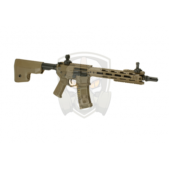 AM-009 EFCS - Desert -