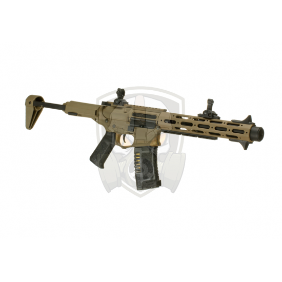 AM-013 EFCS - Desert -