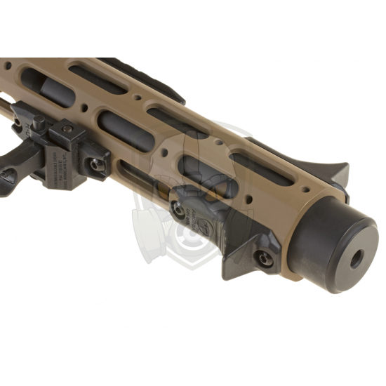 AM-013 EFCS - Desert -