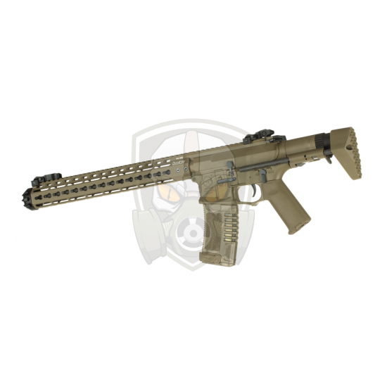 AM-016 EFCS - Desert -