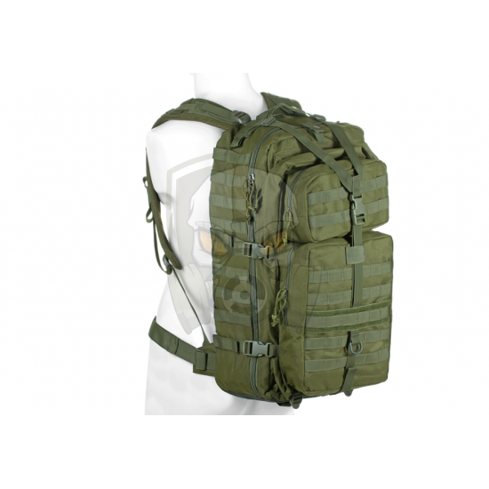 Mod 3 Day Backpack  - OD