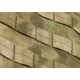 Molle Rig - Everglade -