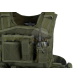 Mod Carrier Combo - OD -