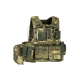 Mod Carrier Combo - Everglade -