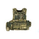 Mod Carrier Combo - Everglade -