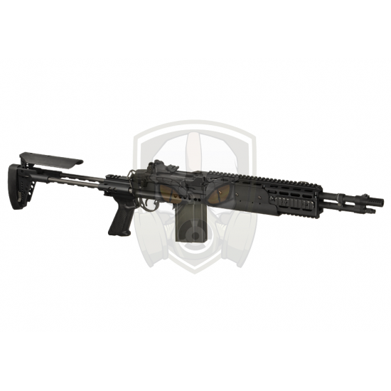GR14 EBR Short Enhanced Battle Rifle